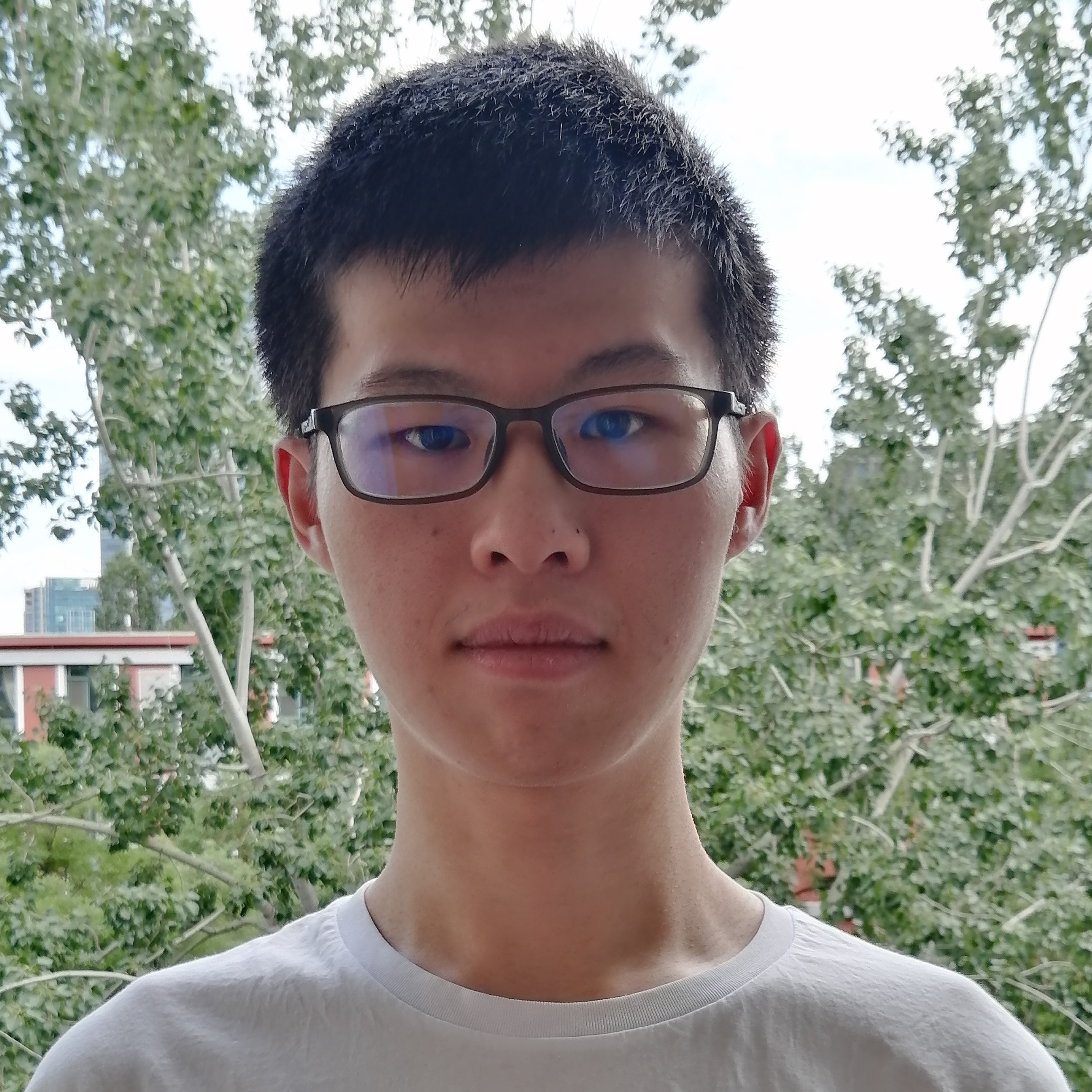Ningyuan Li